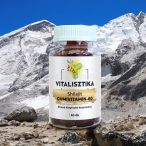 Vitalisztika shilajit gumivitamin 60x